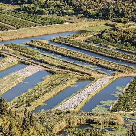 In With Sauna Holiday home