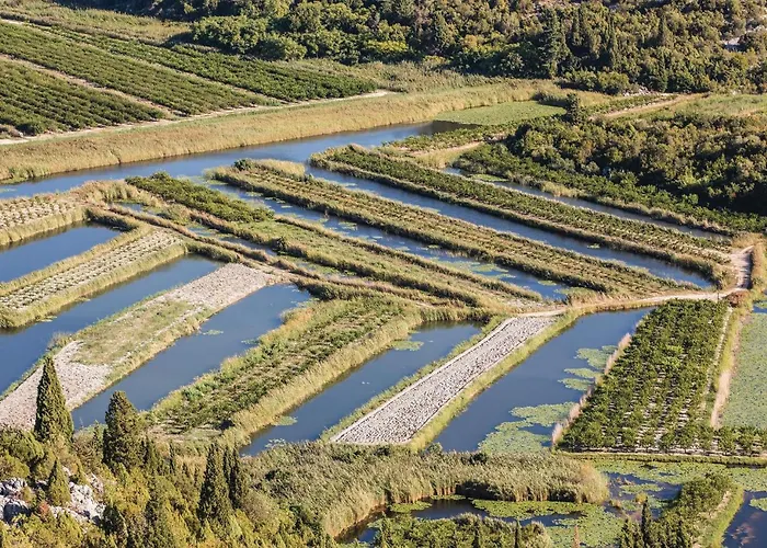 In With Sauna Tatil Evi